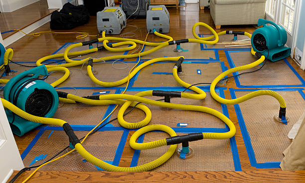 Professional Basement Flood Cleanup technician working in Rockford, MN